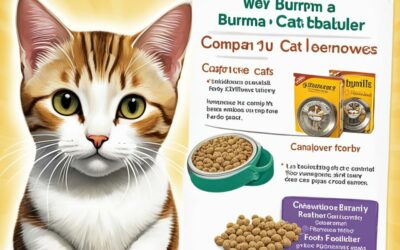 Burma Katze kaufen – Ihr Leitfaden