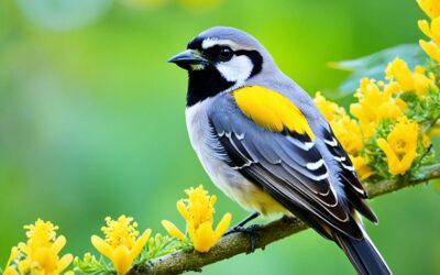 Heimische gelbe Vögel in Deutschland erkennen