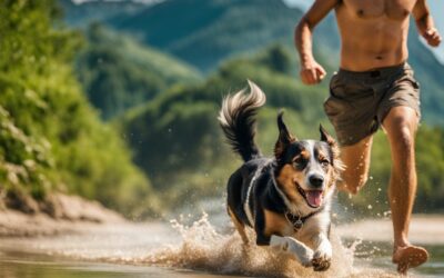 Urlaub mit Hund Deutschland – Hundefreundliche Tipps